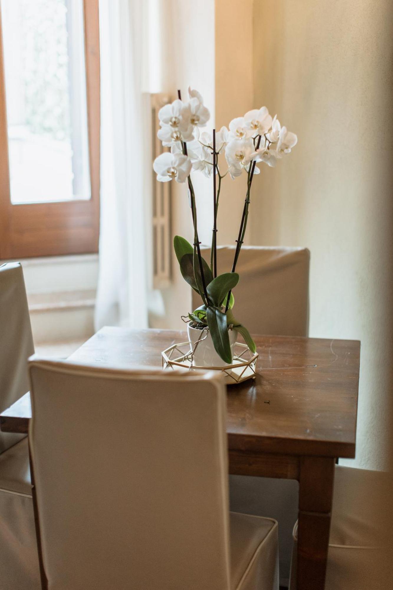 Osteria Luxury Apartments Peschiera del Garda Kültér fotó
